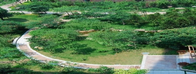 園林綠化