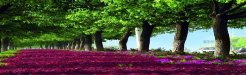 園林綠化