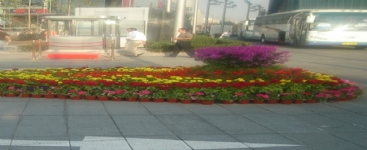 節(jié)日花壇