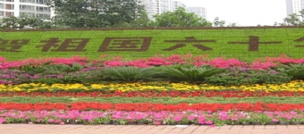 節(jié)日花壇